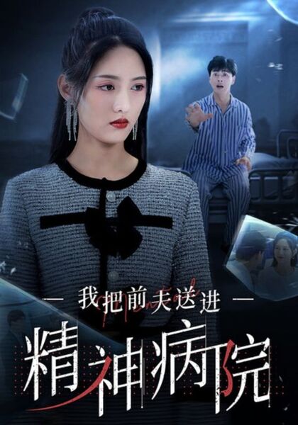 我把前夫送进精神病院