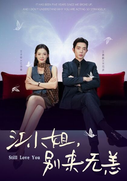 江小姐，别来无恙