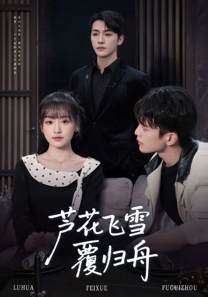 芦花飞雪覆归舟