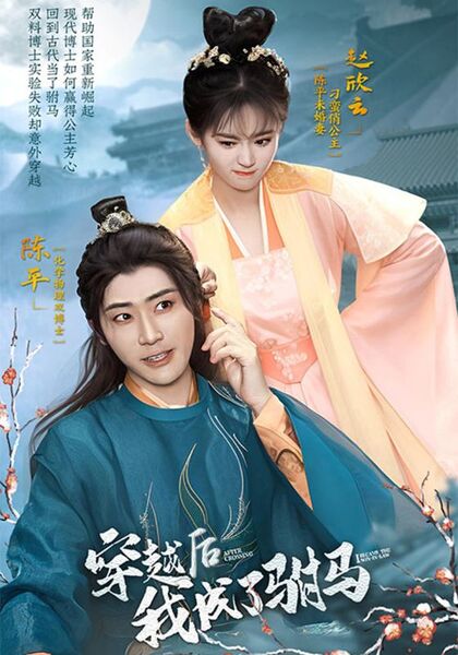 穿越后，我成了驸马