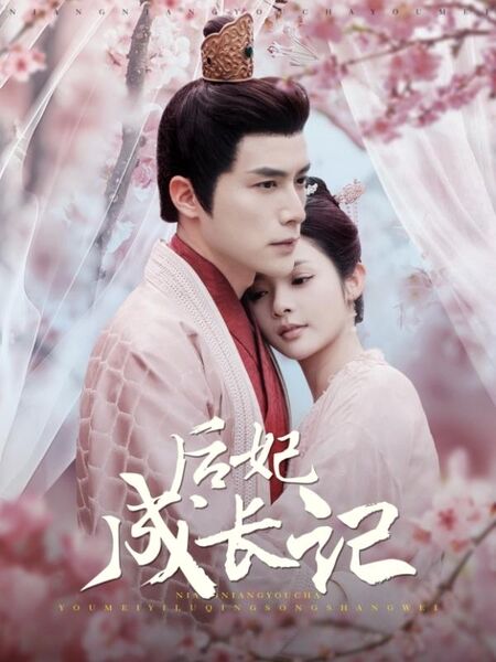 后妃成长记