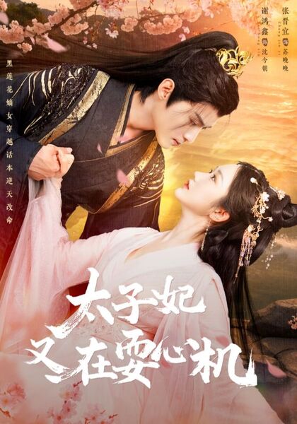 太子妃又在耍心机