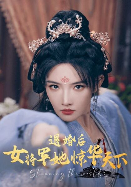 退婚后女将军她惊华天下