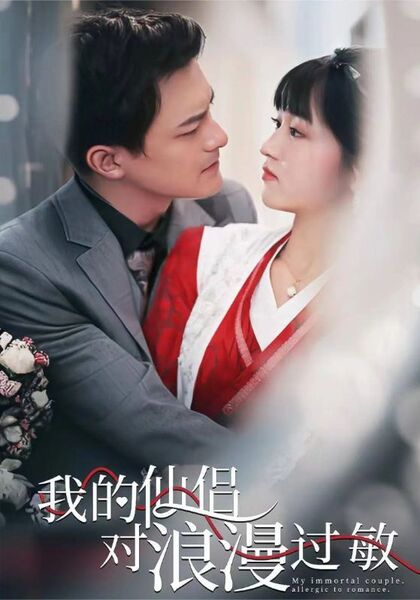 我的仙侣对浪漫过敏