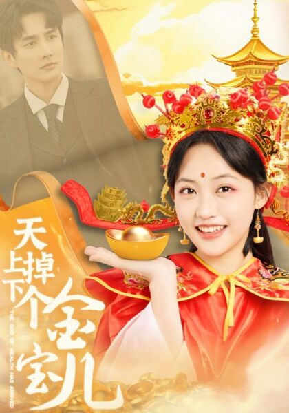 天上掉下个金宝儿