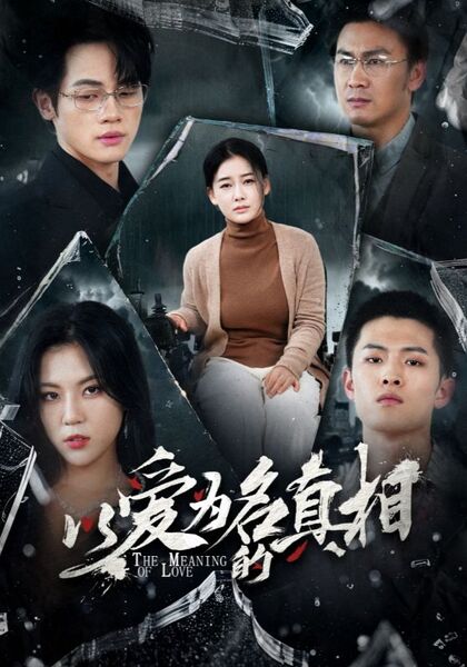 以爱为名的真相