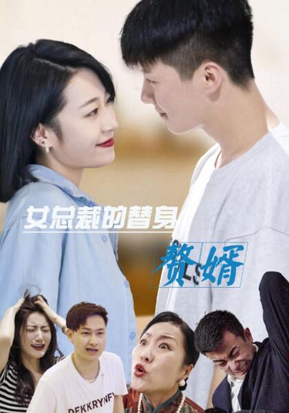 女总裁的替身赘婿