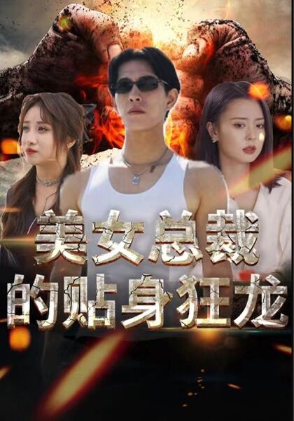 美女总裁的贴身狂龙