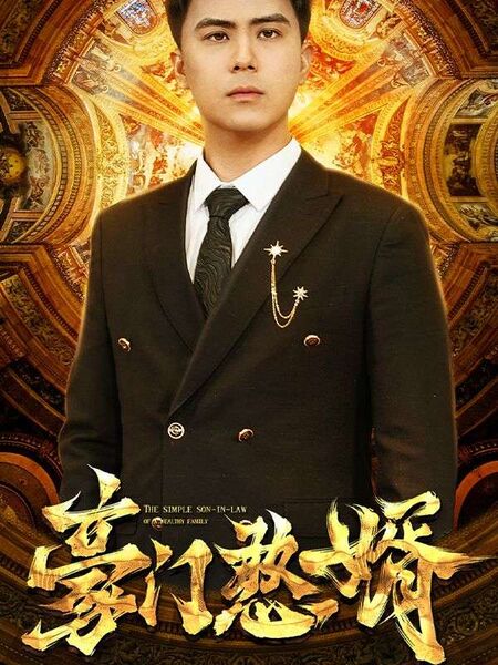 豪门憨婿
