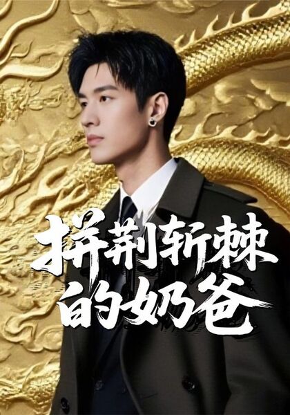 拼荆斩棘的奶爸