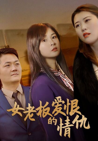 女老板的爱恨情仇