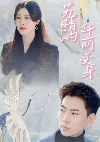 苏晴的华丽变身