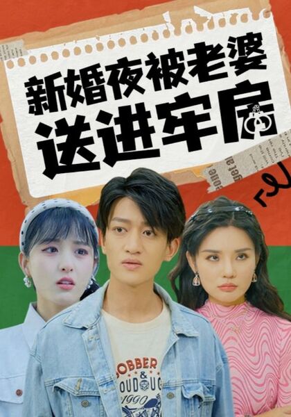 新婚夜被老婆送进牢房