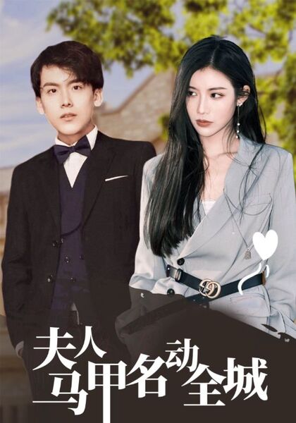 夫人马甲名动全城
