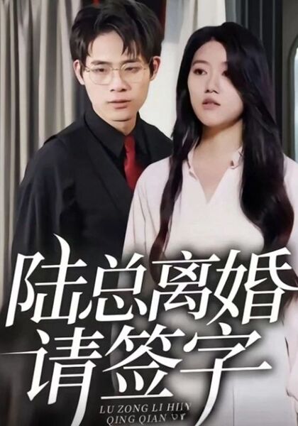 陆总离婚请签字