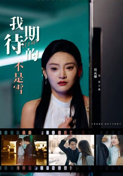 我期待的不是雪