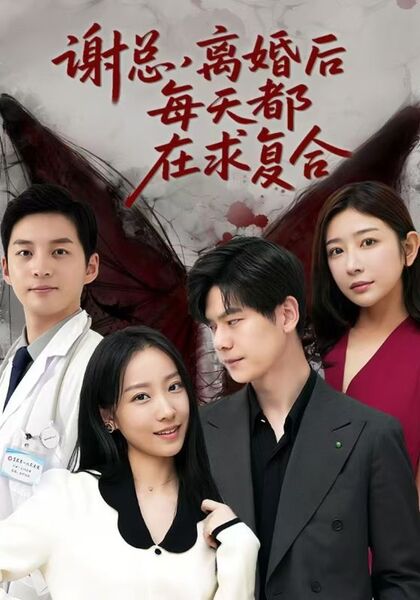 谢总，离婚后每天都在求复合