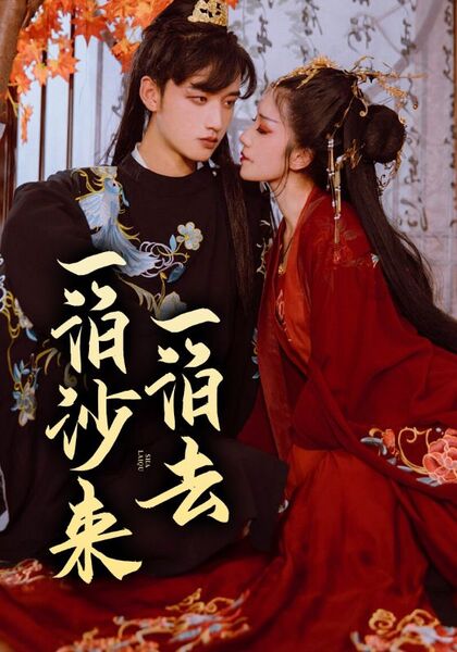 一泊沙来一泊去