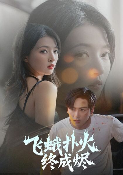 飞蛾扑火终成烬