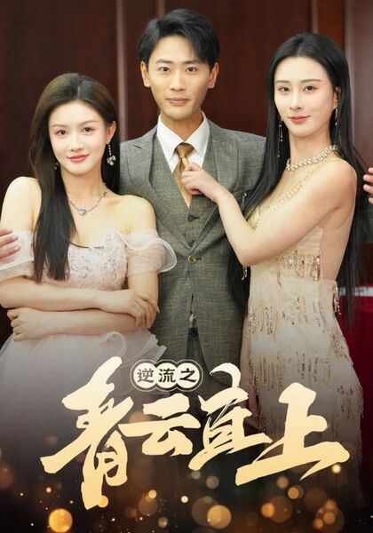 逆流之青云直上