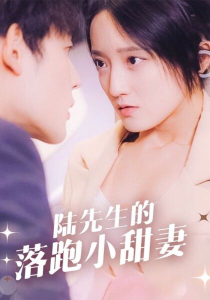 陆先生的落跑小甜妻