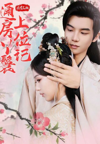 照红妆通房丫鬟上位记