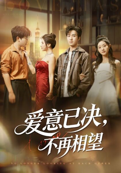 爱意已决，不再相望