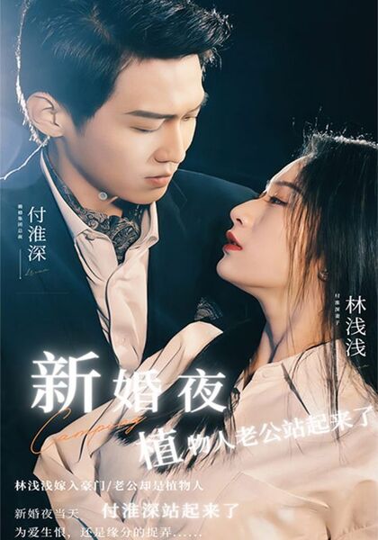 新婚夜，植物人老公站起来了