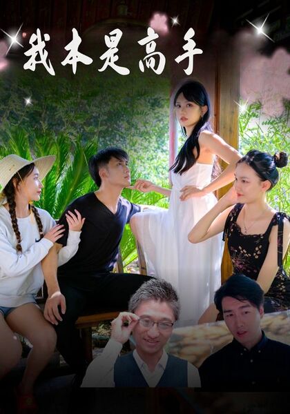 我本是高手