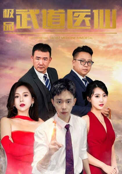 极品武道医仙