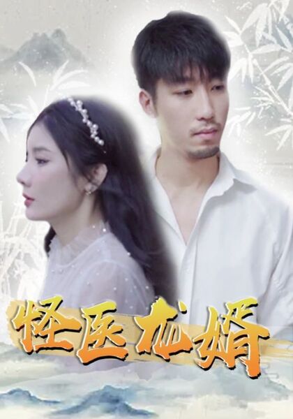 怪医龙婿