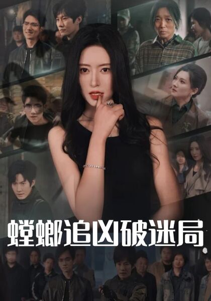 螳螂追凶破迷局