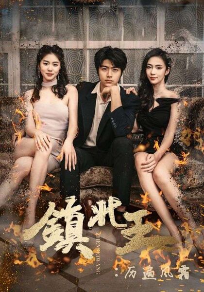 镇北王：历遍风霜