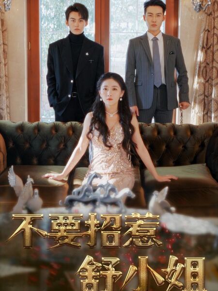 不要招惹舒小姐