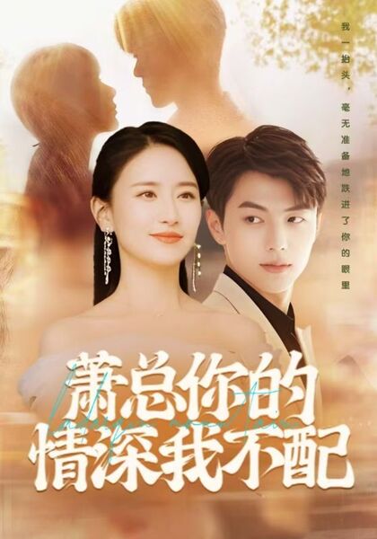 萧总你的情深我不配