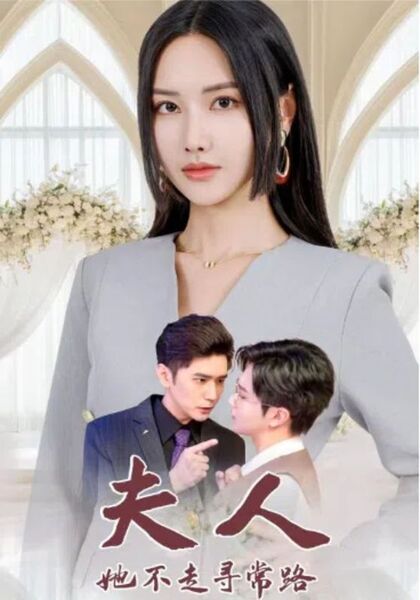 夫人她不走寻常路