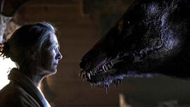 小鹿斑比：清算